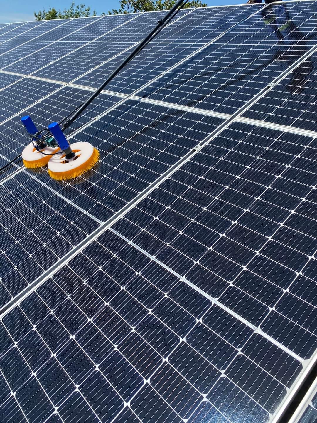 Friendly technician cleaning solar panels